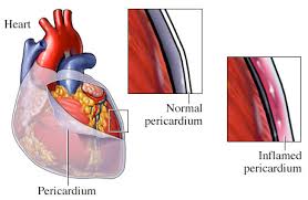 Internal Medicine Case Studie