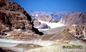http://www.naturephoto-cz.com/sinai-desert:et-photo-2180.html http://www.naturephoto-cz.com/sinai-desert:et-photo-2180.html