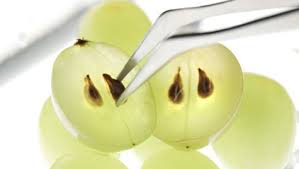فوائد العنب GrapeSeed