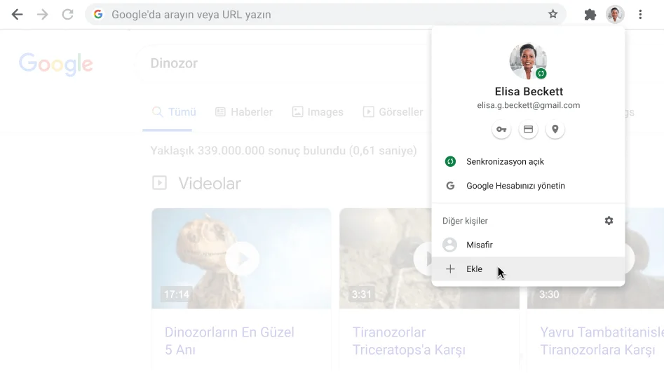 Açık Profil iletişim kutusuyla Chrome tarayıcı penceresi.
